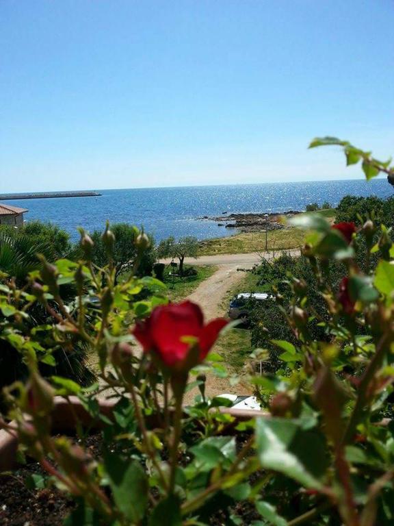 Apartments Lirio Umag Exterior foto